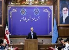 فریبا عادل‌خواه ۵ سال حبس گرفت/  مطالبه استرداد جسد قاضی منصوری را کردیم/ مشروح نشست خبری سخنگوی قوه قضاییه 