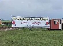 آخرین وضعیت «پروژه میانکاله» توسط دولت تشریح شد