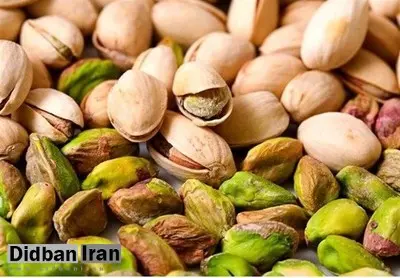 رشد ۸۳ درصدی باغات پسته در یک دهه اخیر