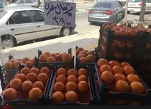 تغییر نام پرتقال ایرانی به پرتقال مصری برای گران‌فروشی
