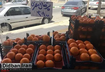 تغییر نام پرتقال ایرانی به پرتقال مصری برای گران‌فروشی
