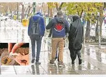  شیوع مصرف مخدر صنعتی گُل در بین جوانان و «گُلی» که جوانان را فریب می دهد 