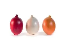 قابل توجه آشپز‌های حرفه‌ای/ هر پیاز را در جای خود استفاده کنید