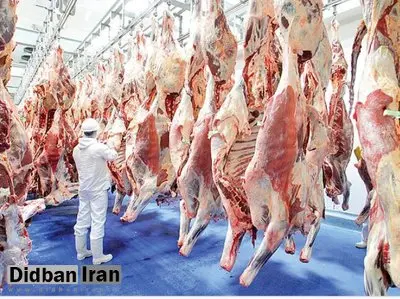 فروش گوشت بز به اسم گوشت قرمز ارزان!/ تهدید معیشت ۵ میلیون ایرانی