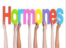 شیوه های طبیعی برای تعدیل هورمون های ضروری بدن