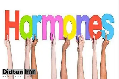 شیوه های طبیعی برای تعدیل هورمون های ضروری بدن