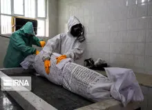 آیا در هفته جاری آمار روزانه فوتی های کرونا به ٨٠٠نفر می رسد؟