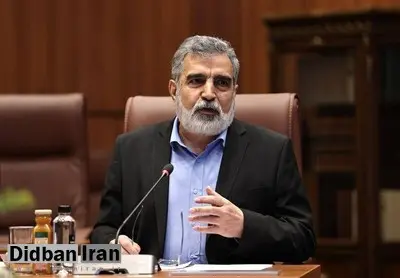 کمالوندی: هیچ دارایی و حساب سازمان انرژی اتمی در ترکیه مسدود نشده است