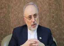 علی‌اکبر صالحی: غنی‌سازی در نطنز متوقف نشده است/ فقط یک سالن ما در این سایت دچار اشکال شده است
