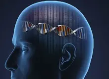 آیا ژن زیبایی وجود دارد؟
