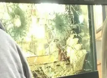 فیلم / سرقت مسلحانه از طلافروشی در پرند/دزدان با پتک شیشه مغازه را شکستند