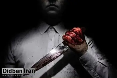 جزئیات قتل همسر رئیس تعزیرات همدان/ یک روز نبود که از دست مشکلات خانوادگی اشکش درنیاید