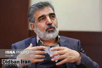 کمالوندی: اقدامات جدید خود را در چارچوب برجام آغاز کرده‌ایم/ آژانس ناظر است نه قاضی
