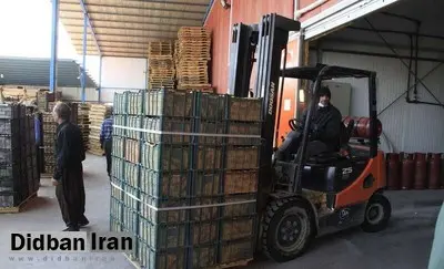 نماینده ارومیه: ۸۰۰ هزار تن سیب در سردخانهها باقی مانده است