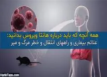 درباره "هانتا ویروس" بیشتر بدانید/ روش انتقال، علائم بالینی، راه های پیشگیری / هشدار معاون پیشگیری وزارت بهداشت: برنامه کنترل موش ها در شهرها جدی گرفته شود