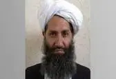طالبان استفاده از اینترنت فیبر نوری را ممنوع کرد