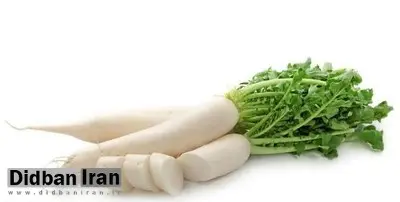 ۱۱ خاصیت ترب سفید/ دارویی گیاهی برای جلوگیری از سرطان و لاغری