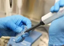 آکسفورد مدعی شد: واکسن ما به بحران کرونا خاتمه می دهد/ توزیع مساوی در سراسر جهان برنامه ماست 