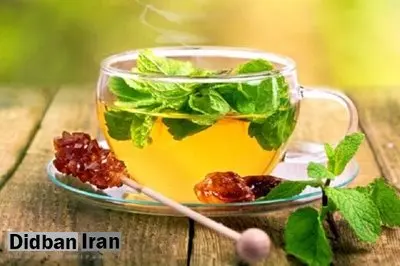  ۱۰ گیاه دارویی که عفونت ها را در درمان می کند