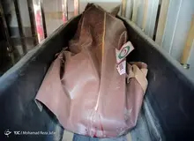 کشف و انتقال اجساد جان‌باختگان هواپیمای ترکیه+ تصاویر بیشتر
