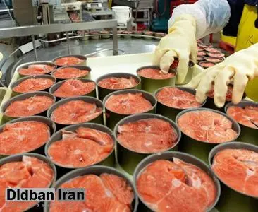 افزایش ۱۲۰ درصدی قیمت کنسرو ماهی/ کنسرو ۱۸۰ گرمی کمیاب شد