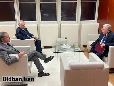 مدیرکل آژانس بین‌المللی انرژی اتمی و سفیر روسیه در وین درباره ایران رایزنی کردند