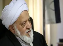 آقای مصباحی مقدم؛ اینکه خودرو وارد شود یا نشود، اساساً چه ربطی به مجمع تشخیص مصلحت نظام دارد؟