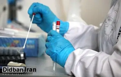 ۷۱ درصد نمونه‌های تست کرونا در قم مثبت است