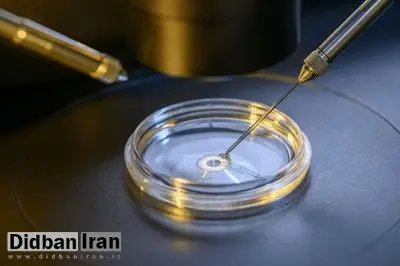 سلول‌های پوست انسان به باروری کمک می‌کند
