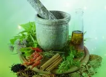 مکمل‌های گیاهی از پیشرفت بیماری کبد چرب و دیابت جلوگیری می‌کند