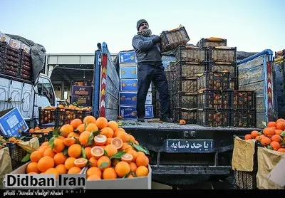 کاهش ۵۰ درصدی مصرف میوه در کشور/ میوه‌ها در میادین مانده‌اند