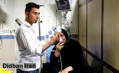 نفس اهوازی‌ ها باز هم تنگ می شود!/ مهلت یک ماهه برای هرس 'کونوکارپوس'