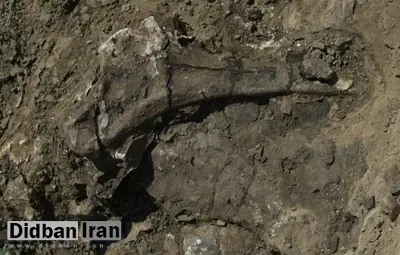 راز گورستان عظیم دایناسورها در «رودخانه مرگ» فاش شد + عکس