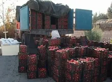 تریاک با طعم گوجه فرنگی