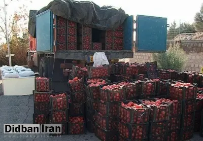 تریاک با طعم گوجه فرنگی
