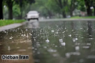 بارش باران و وزش باد شدید در تهران