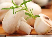 قارچ خام؛ داروخانه طبیعی برای بدن!