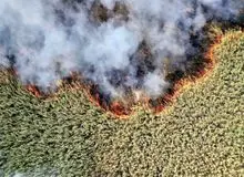 ادامه آلودگی هوا به علت سوختن بخشی عراقی تالاب هورالعظیم 