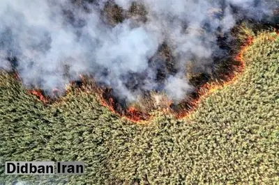 ادامه آلودگی هوا به علت سوختن بخشی عراقی تالاب هورالعظیم