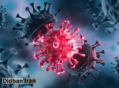 شنیده شدن صدای پای کرونا در جهان