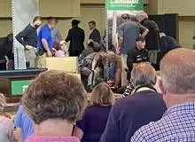 سلمان رشدی ۱۰ الی ۱۵ چاقو خورده، یکی به گردن او اصابت کرده است 