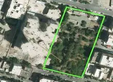 صدور مجوز نابودی یک باغ ۵هزار متری در منطقه۵ پایتخت/ معاون شهرسازی منطقه ناپدید شد!