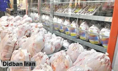 صابری، کارشناس صنعت طیور: نگاه امروز دولت به تولید گوشت مرغ و تخم‌مرغ امنیتی است/ بازار مرغ حساسیت بالایی نسبت به نوسانات نرخ ارز دارد/ سیاست‌های دستوری دولت و وابستگی به واردات نهاده‌ها؛ مشکلات اصلی بازار مرغ 