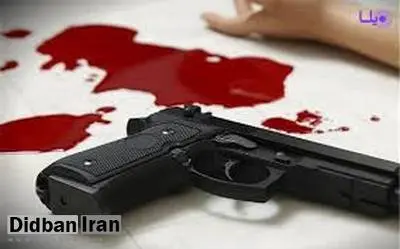یک مأمور ناجا در شادگان به شهادت رسید