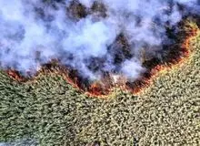 تنها راه مهار آتش در تالاب هورالعظیم رهاسازی آب از سوی عراق است