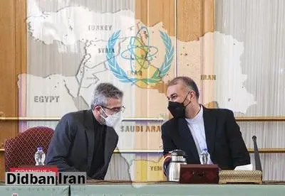 سفیر پیشین ایران در اردن: تیم دیپلماسی ما سردرگم است/ امریکا برای ماندن در برجام هیچ  تضمینی نمی دهد