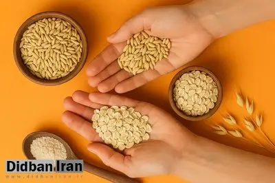 برنج دوست دارید؟ این‌بار جو را امتحان کنید!