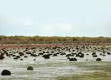 تالاب «میانکاله» در حال خشک شدن است