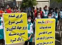 یک نامه زدند و ۲۵ هزار کارگر را بیکار کردند/ کارگرانِ قطعه‌بندیِ مرغ همچنان بلاتکلیف هستند

