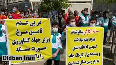 یک نامه زدند و ۲۵ هزار کارگر را بیکار کردند/ کارگرانِ قطعهبندیِ مرغ همچنان بلاتکلیف هستند